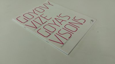 Boek met de titel: Goya's visions