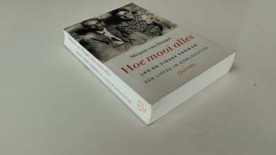 Boek met de titel: Hoe mooi alles