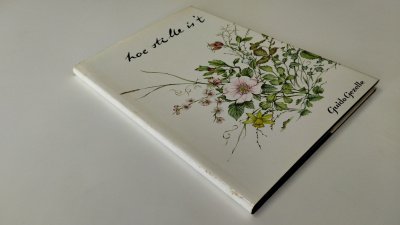 Boek met de titel: Hoe stille is 't