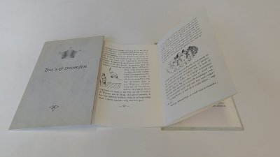 Boek met de titel: Trio's & triomfen