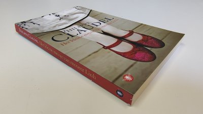 Boek met de titel: Het kleine meisje van meneer Linh
