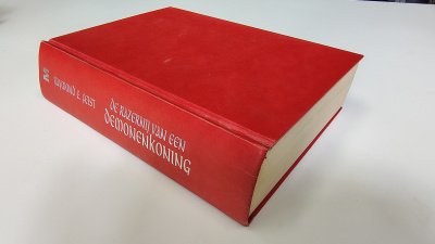 Boek met de titel: De razernij van een demonenkoning [3]