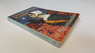 Boek met de titel: Kenau