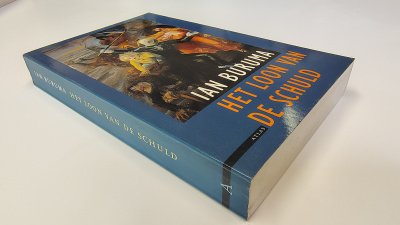 Boek met de titel: Het loon van de schuld