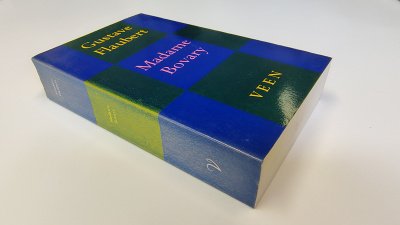 Boek met de titel: Madame Bovary
