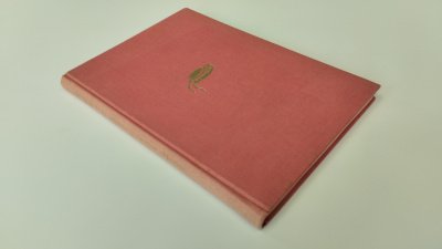 Boek met de titel: Bruiloftslied voor Swaantje