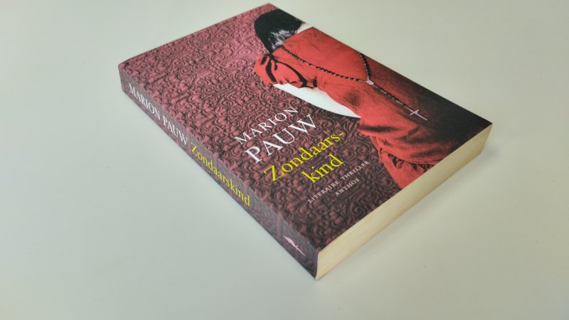 Tweedehands boek: Zondaarskind van auteur Marion Pauw - In goede staat. Nederlandstalige softcover. Minimale gebruikssporen aan de kaft. Pagina's verkleurd met minimale foxing. Onbeschreven en stevig in de binding