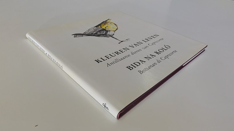 Tweedehands boek: Kleuren van Leven, Antillianse dieren van Capricorne van auteur José Capricorne & Carel de Haseth - Hardcover met stofomslag. Omslag aan de bovenrand licht verkleurd evenals de witte pagina's, verder onbeschreven en netjes.