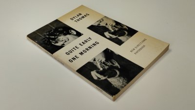 Boek met de titel: Quite early one morning
