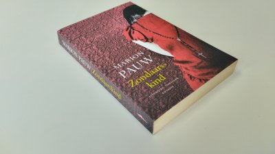 Boek met de titel: Zondaarskind
