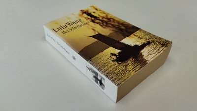 Boek met de titel: Het lelietheater