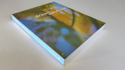 Boek met de titel: Dream Solutions, using your dreams to change your life