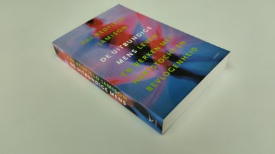 Boek met de titel: De uitbundige mens