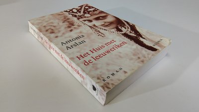 Boek met de titel: Het huis met de leeuweriken