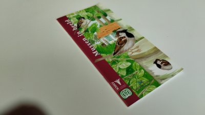 Boek met de titel: Mussen in beeld