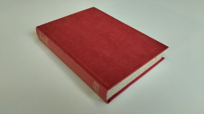 Boek met de titel: Reinier's Dutch Dictionary