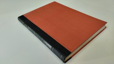 Boek met de titel: De monumenten van Geschiedenis en kunst in de Tielerwaard