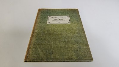 Boek met de titel: Voor twee stuiver anjeliere