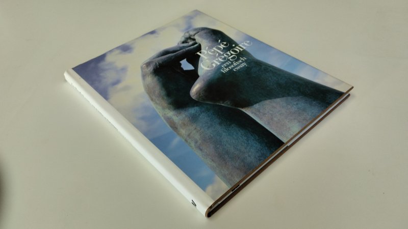 Tweedehands boek: Pépé Grégoire van auteur Michiel Korthals - In goede staat. Nederlandstalige hardcover met stofomslag. De witte achterkant zijn een aantal vegen waar te nemen. lichte gebruikssporen aan de kaft. Art gallery stempel voorin. Pagina's zo goed als nieuw