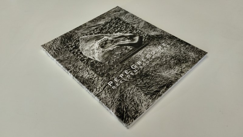 Tweedehands boek: Pepe Gregoire Beelden sculptures van auteur Diverse auteurs - Zo goed als nieuw. Nederlands/ Engelstalige softcover. zo goed als nieuw
