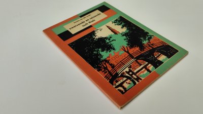 Boek met de titel: Zwervende en reizende toch thuis