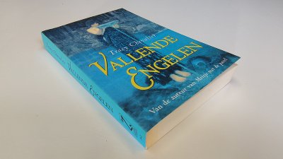 Boek met de titel: Vallende Engelen