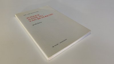 Boek met de titel: Zonder aanslag van betekenis