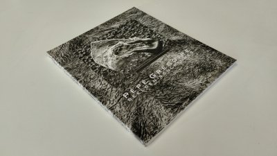 Boek met de titel: Pepe Gregoire Beelden sculptures
