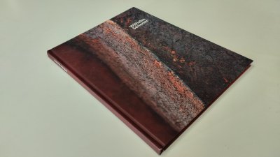 Boek met de titel: Wilhelm Senoner – Figure, forme-formano, persone