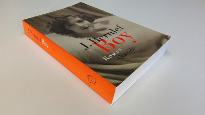 Boek met de titel: Boy