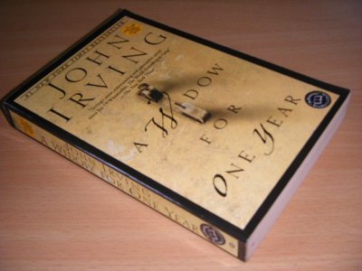 Boek met de titel: A Widow for One Year