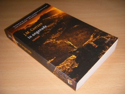 Boek met de titel: In ongenade