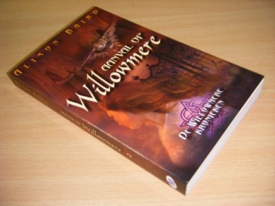 Boek met de titel: Aanval op Willowmere