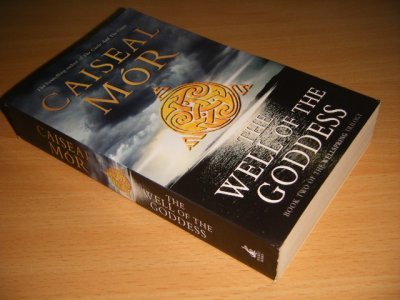Tweedehands boek: The Well of the Goddess van auteur Caiseal Mor - Pocket, in good condition.